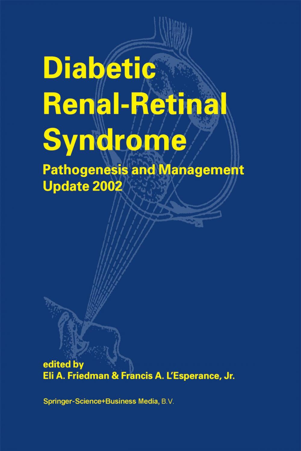 Big bigCover of Diabetic Renal-Retinal Syndrome