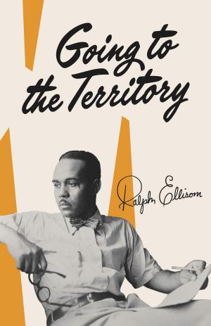 Cover of the book Going to the Territory by DK Walker