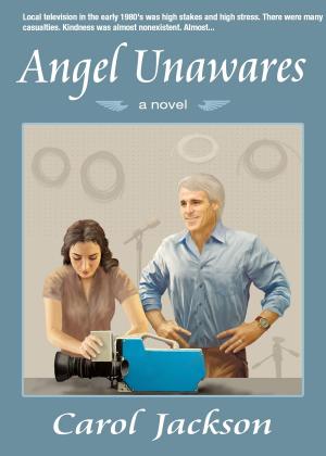 bigCover of the book Angel Unawares, a novel by 