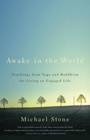 Cover of the book Awake in the World by Gina Ogden