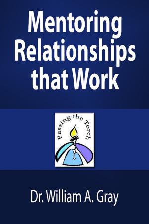 bigCover of the book Mentoring Relationships that Work by 