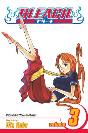 Cover of the book Bleach, Vol. 3 by Ava Benton