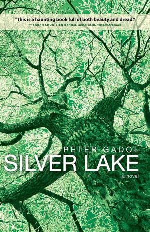 Cover of the book Silver Lake by Ben Tripp