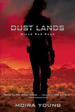 Cover of the book Blood Red Road by David C. Baxter