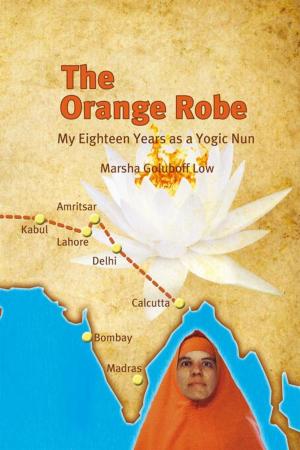 Cover of the book The Orange Robe by Frank Miranda