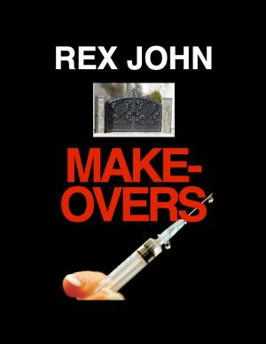 Book cover of Makeovers