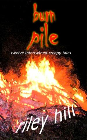 Book cover of Burn Pile