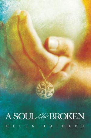 Cover of the book A Soul Less Broken by Dana Hayes