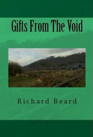 Cover of the book Gifts From The Void by Belinda A. Allen
