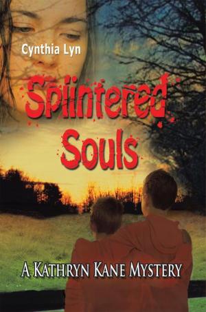 Cover of the book Splintered Souls by Susan M. Toy