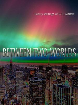 Cover of the book Between Two Worlds by Phil Maund