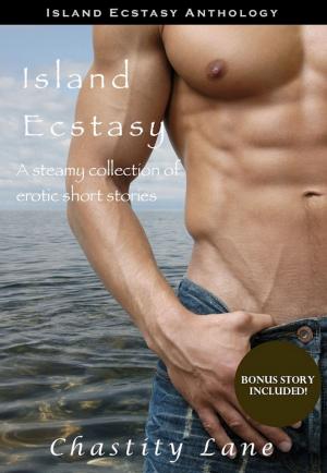 bigCover of the book Island Ecstasy (Erotica Anthology) by 
