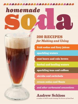 Cover of the book Homemade Soda by Jessica Jahiel