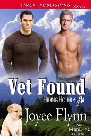 Cover of the book Vet Found by Lydia Michaels
