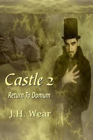 Book cover of Castle 2: The Return To Domum