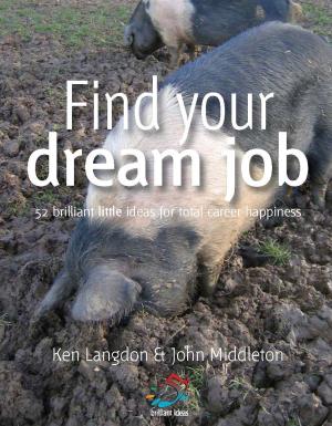 Cover of the book Find your dream job by Fons Trompenaars, Ed Voerman