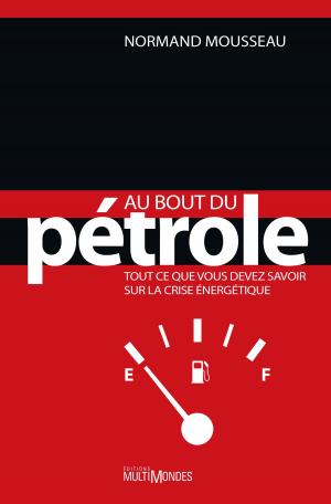 Cover of the book Au bout du pétrole : tout ce que vous devez savoir sur la crise énergétique by Éditions MultiMondes