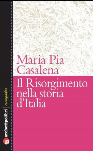 Book cover of Il Risorgimento nella storia d'Italia