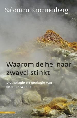 Cover of the book Waarom de hel naar zwavel stinkt by Koert Lindijer