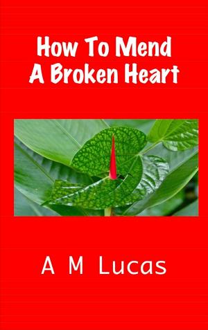 Cover of the book How To Mend A Broken Heart by Lori-Ann Rickard