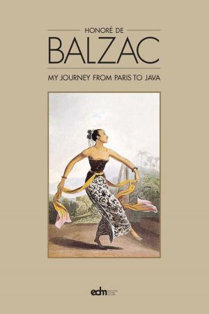 Cover of the book My Journey from Paris to Java by Paul Spencer Sochaczewski