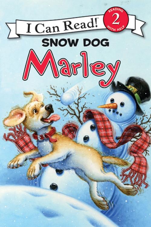 Cover of the book Marley: Snow Dog Marley by John Grogan, HarperCollins