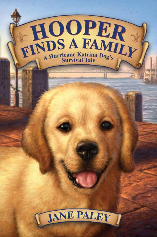 Cover of the book Hooper Finds a Family by Jane Paley, HarperCollins