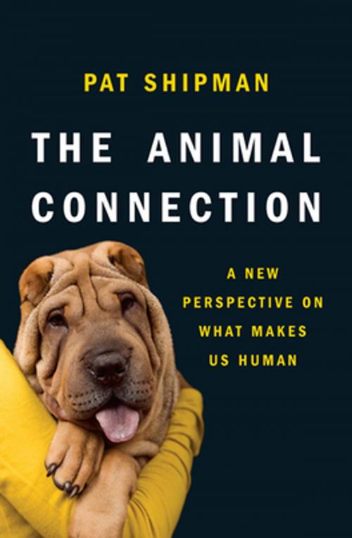 Cover of the book The Animal Connection: A New Perspective on What Makes Us Human by Pat Shipman, W. W. Norton & Company