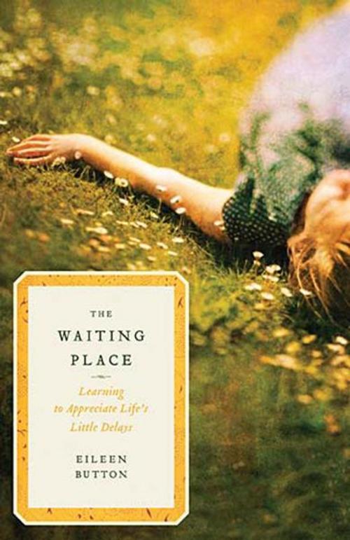 Cover of the book The Waiting Place by Eileen Button, Thomas Nelson