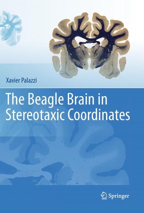 Cover of the book The Beagle Brain in Stereotaxic Coordinates by Xavier Palazzi, Springer New York