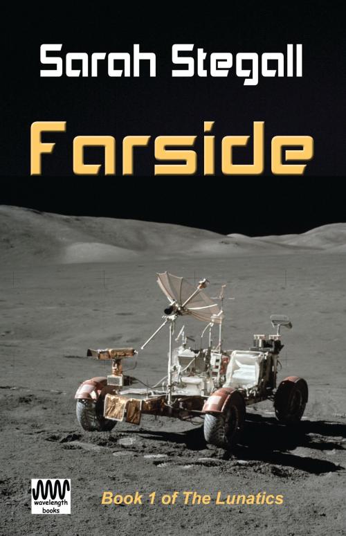 Cover of the book Farside by Sarah Stegall, Wavelength Books
