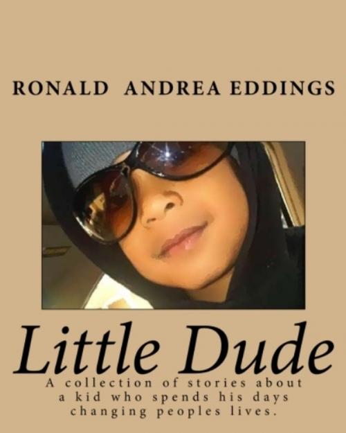 Cover of the book Little Dude by Ronald Eddings, Ronald Eddings