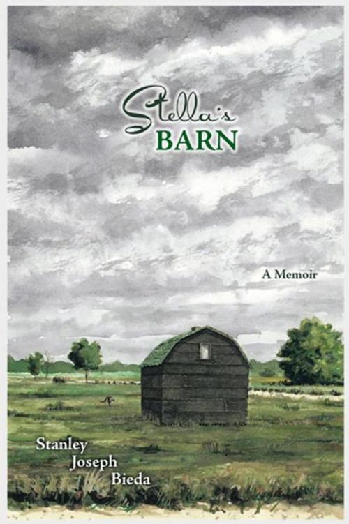 Cover of the book Stella's Barn by Stanley Joseph Bieda, AuthorHouse