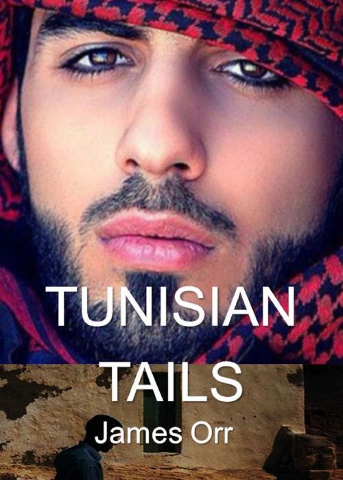 Cover of the book Tunisian Tails by James Orr, James Orr