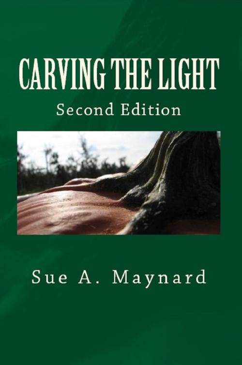 Cover of the book Carving The Light by Sue Maynard, Sue Maynard