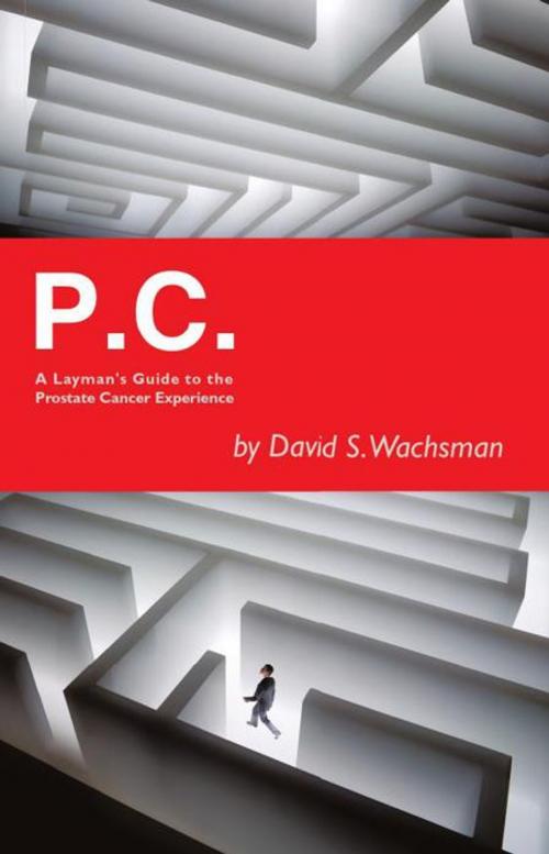 Cover of the book P.C. by David S. Wachsman, iUniverse