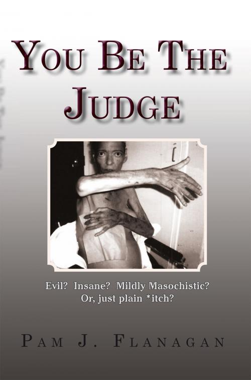 Cover of the book You Be the Judge by Pam J. Flanagan, Xlibris US