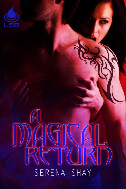 Cover of the book A Magical Return by Serena Shay, Liquid Silver Books