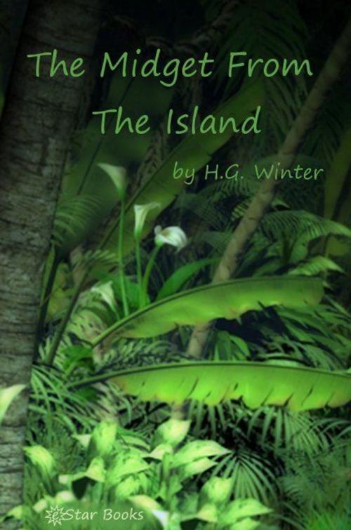 Cover of the book The Midget From the Island by Anthony Gilmore, eStar Books