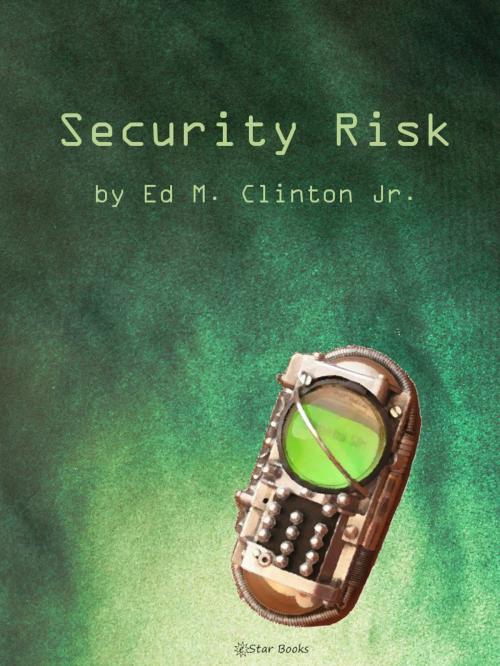 Cover of the book Security Risk by Ed Clinton Jr, eStar Books