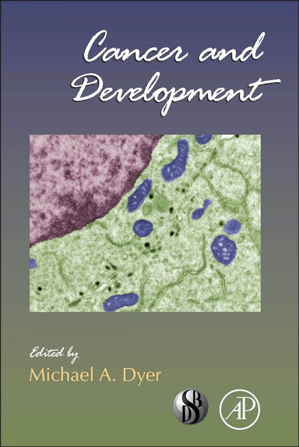 Big bigCover of Cancer and Development