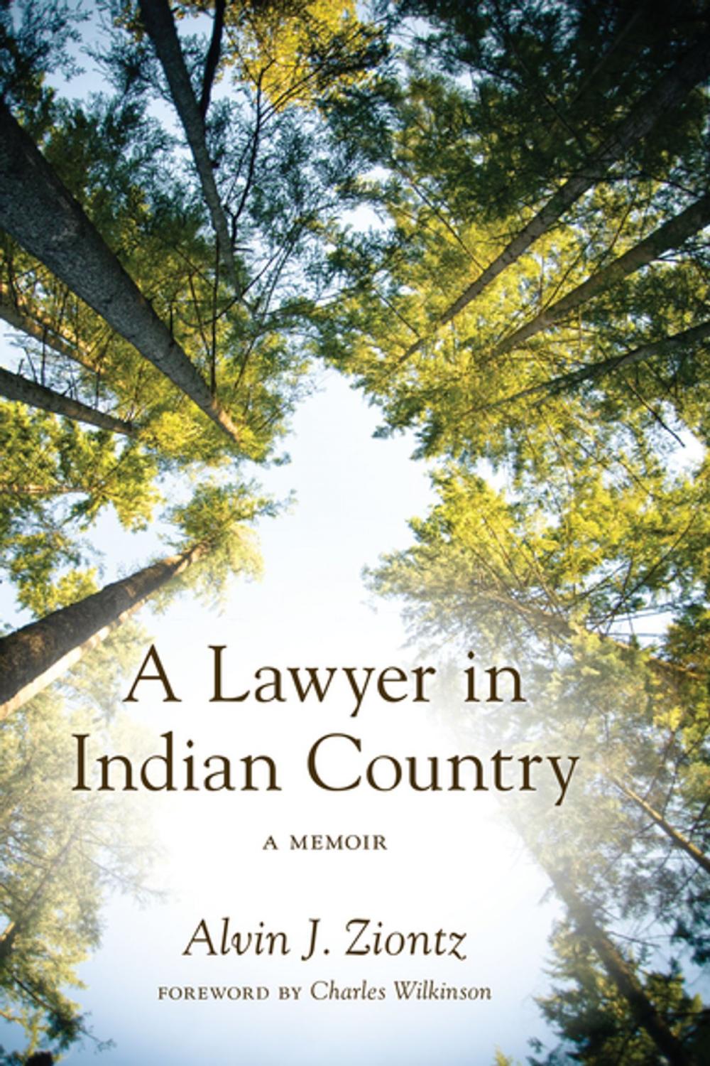 Big bigCover of A Lawyer in Indian Country