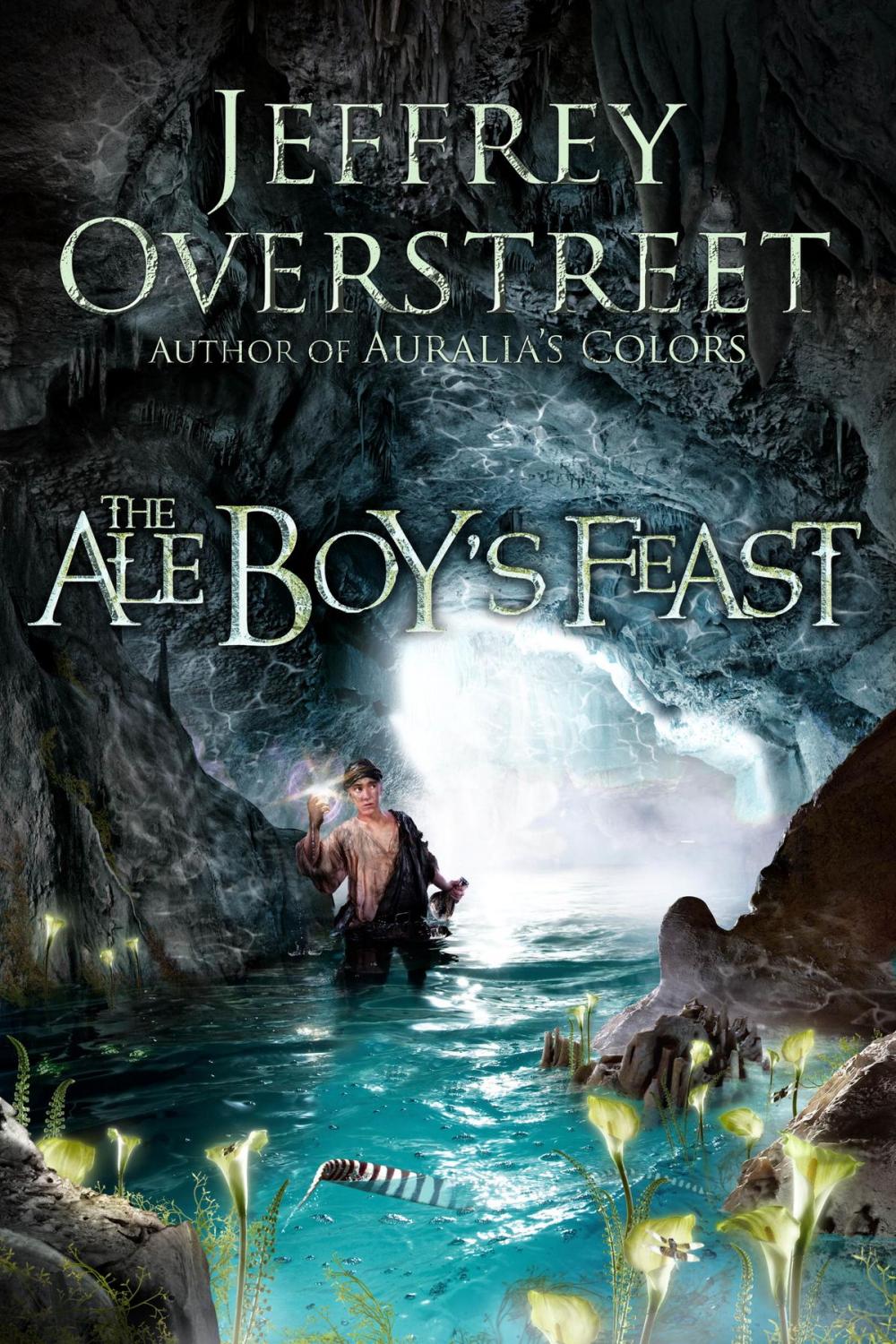 Big bigCover of The Ale Boy's Feast