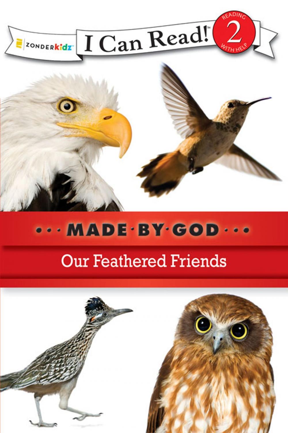 Big bigCover of Our Feathered Friends