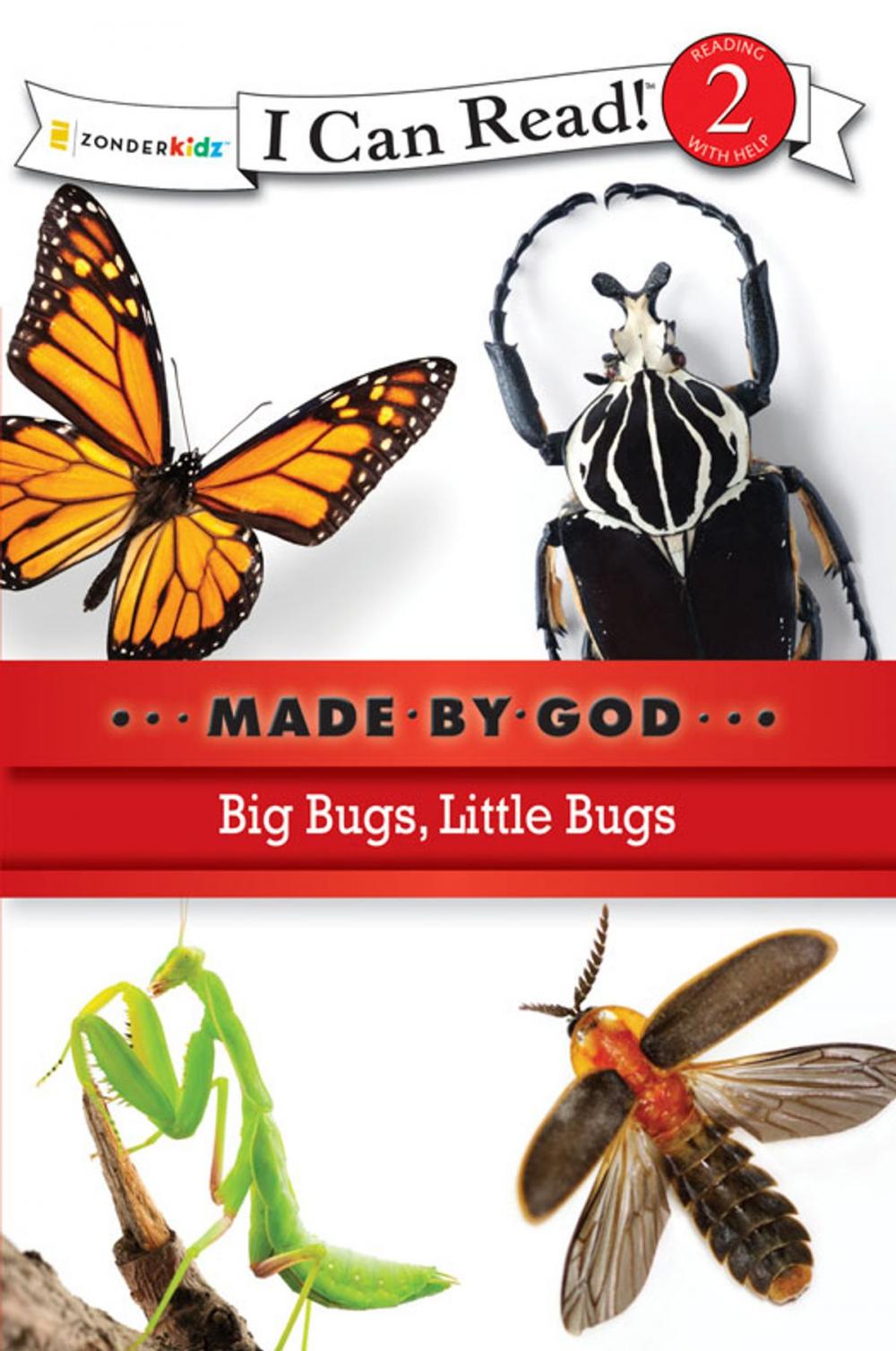 Big bigCover of Big Bugs, Little Bugs