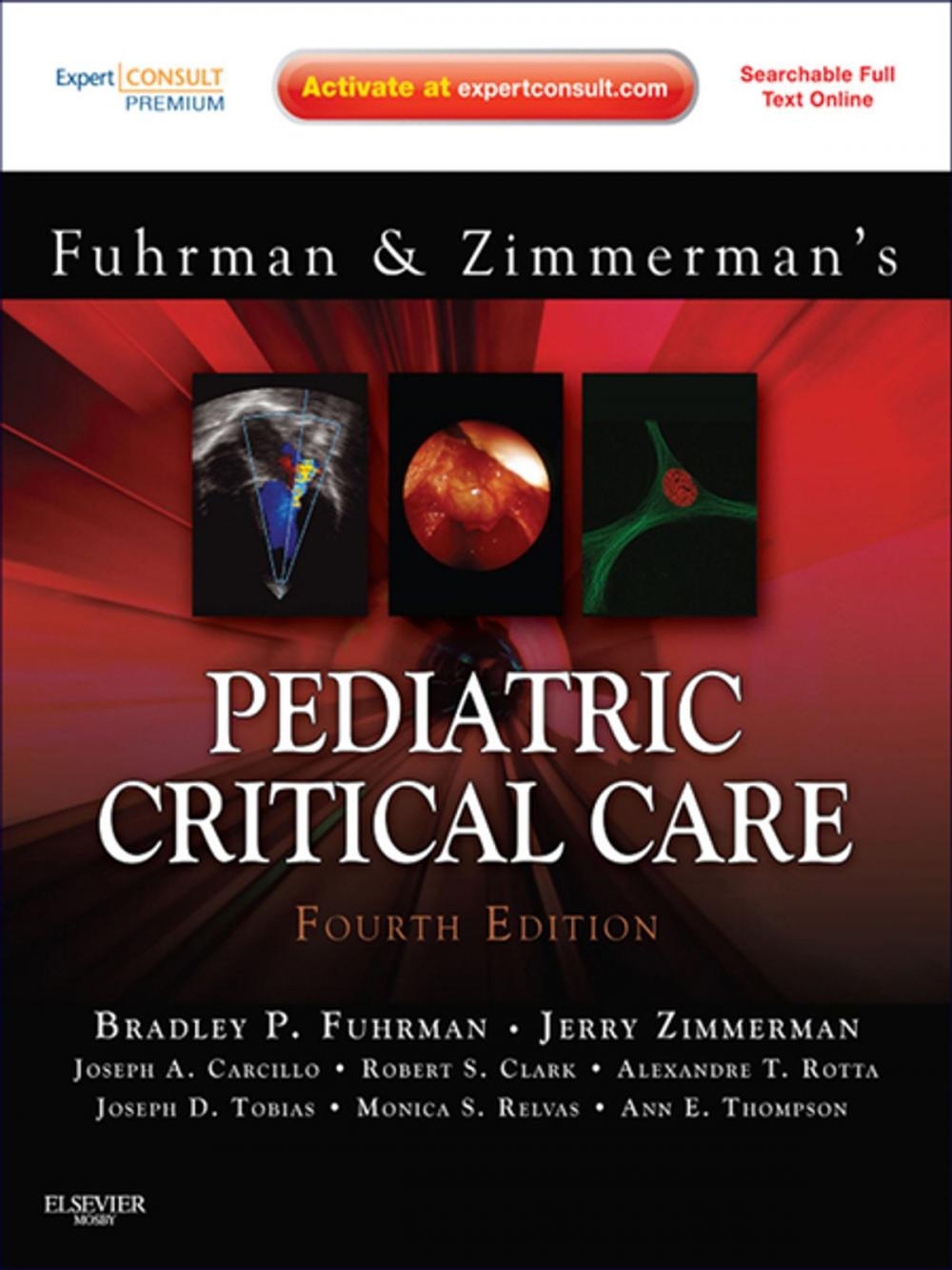 Big bigCover of Pediatric Critical Care E-Book