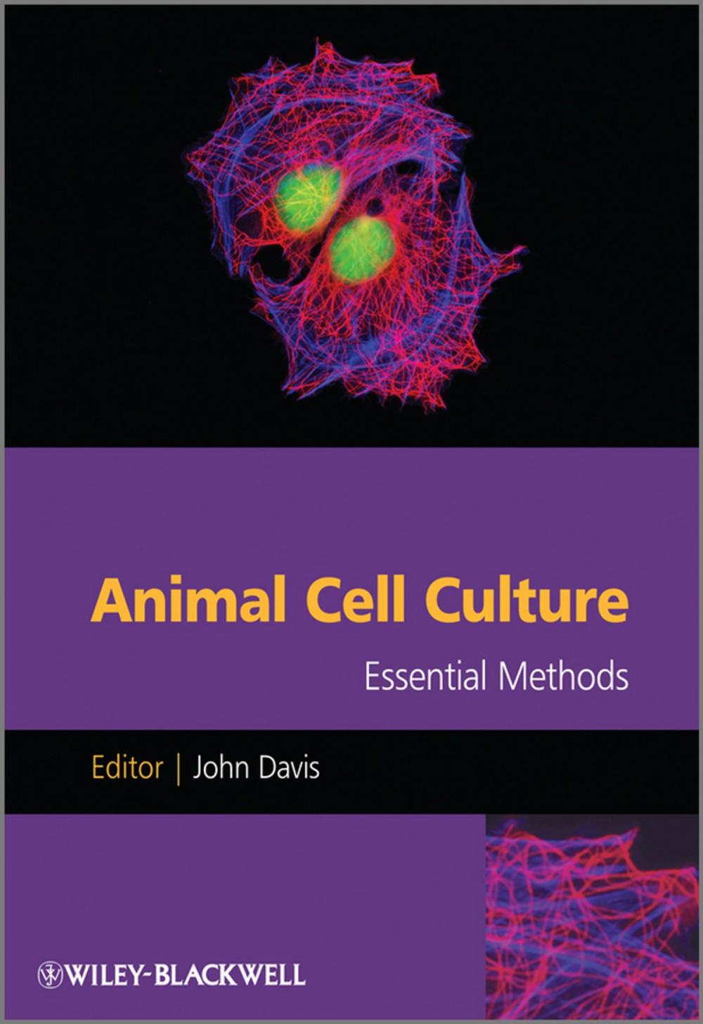 Big bigCover of Animal Cell Culture