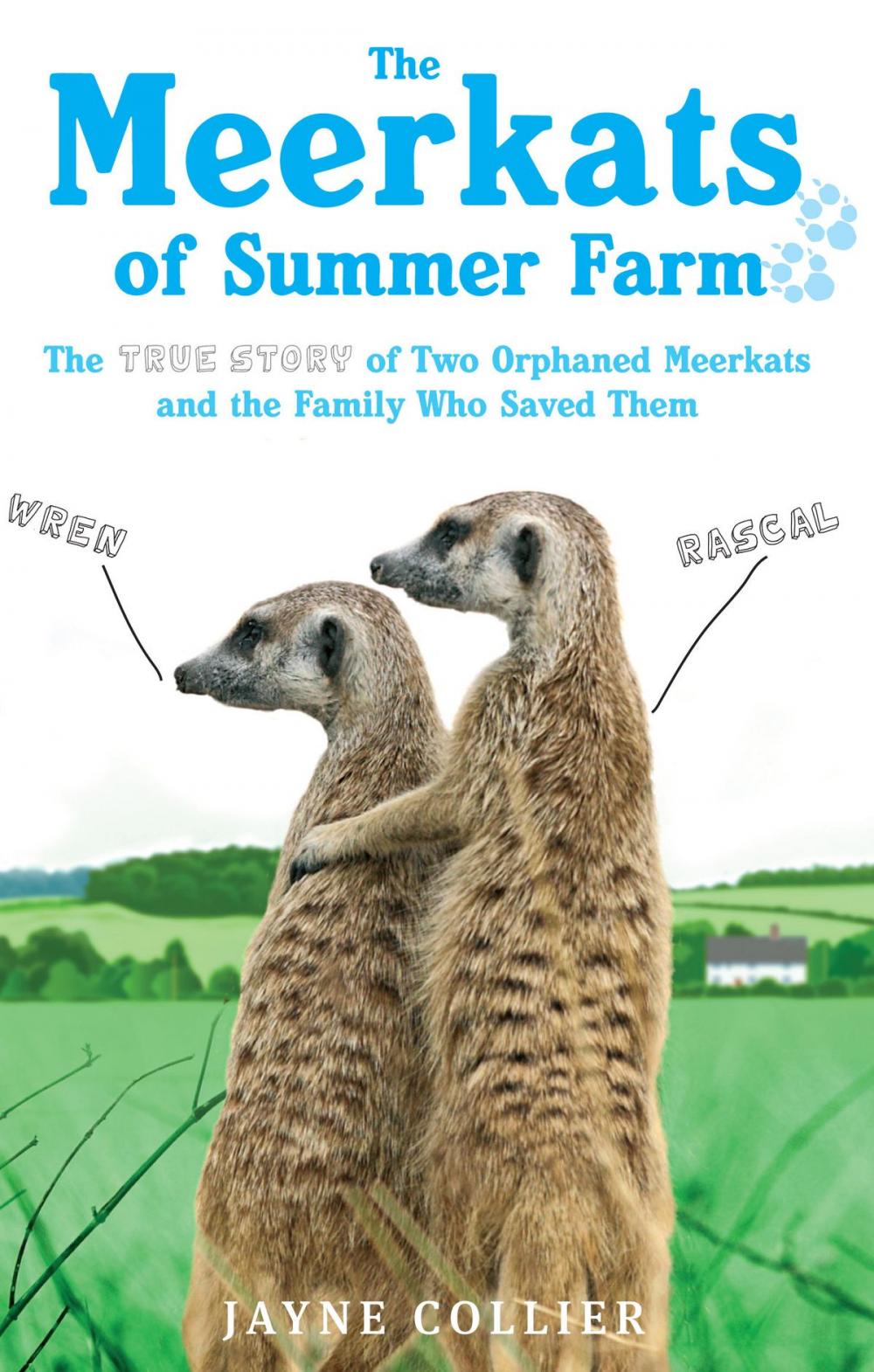 Big bigCover of The Meerkats of Summer Farm