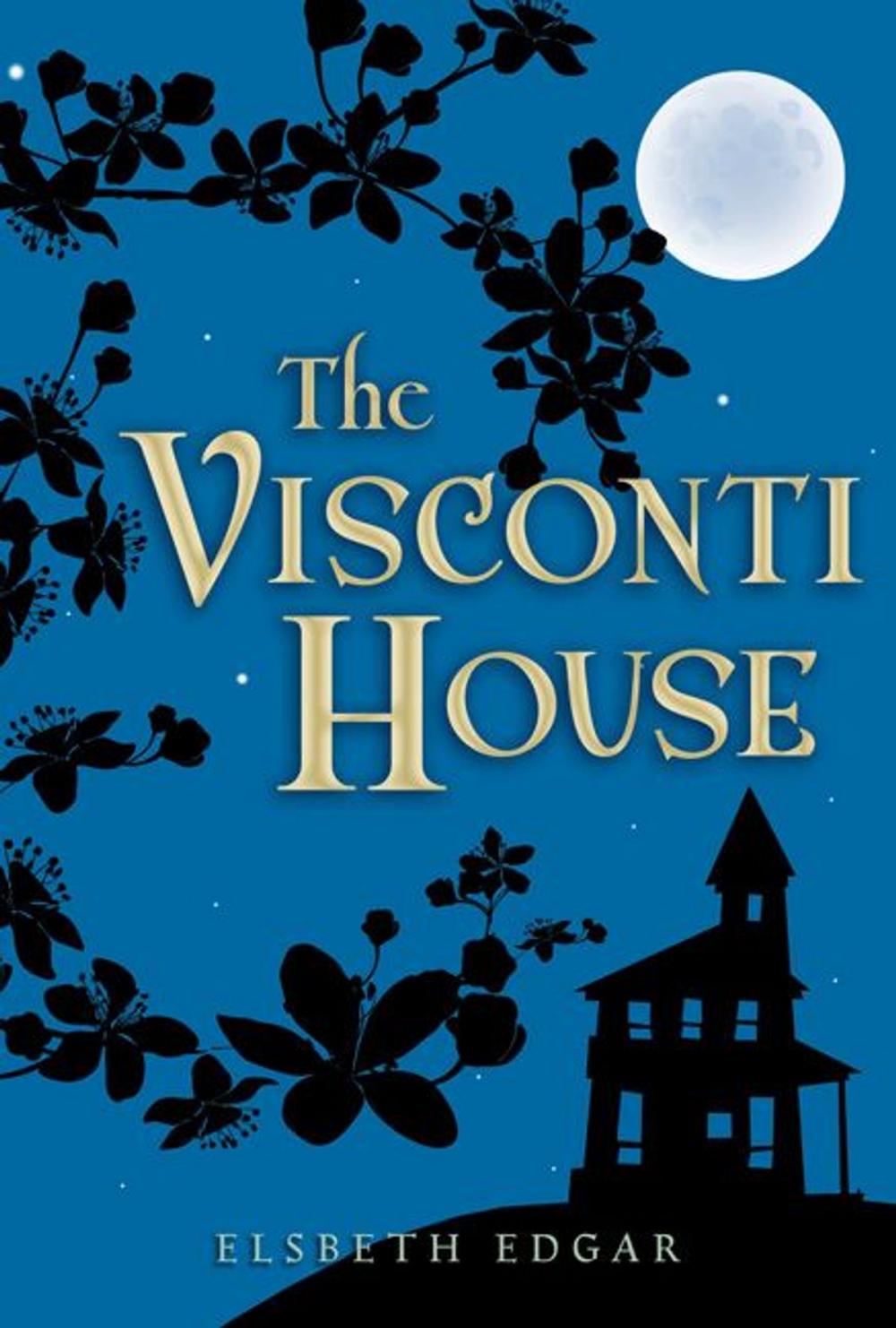 Big bigCover of The Visconti House