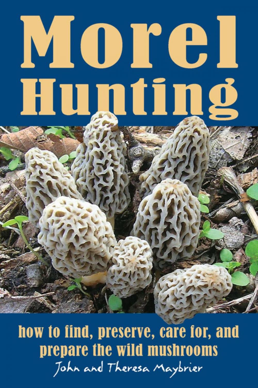 Big bigCover of Morel Hunting